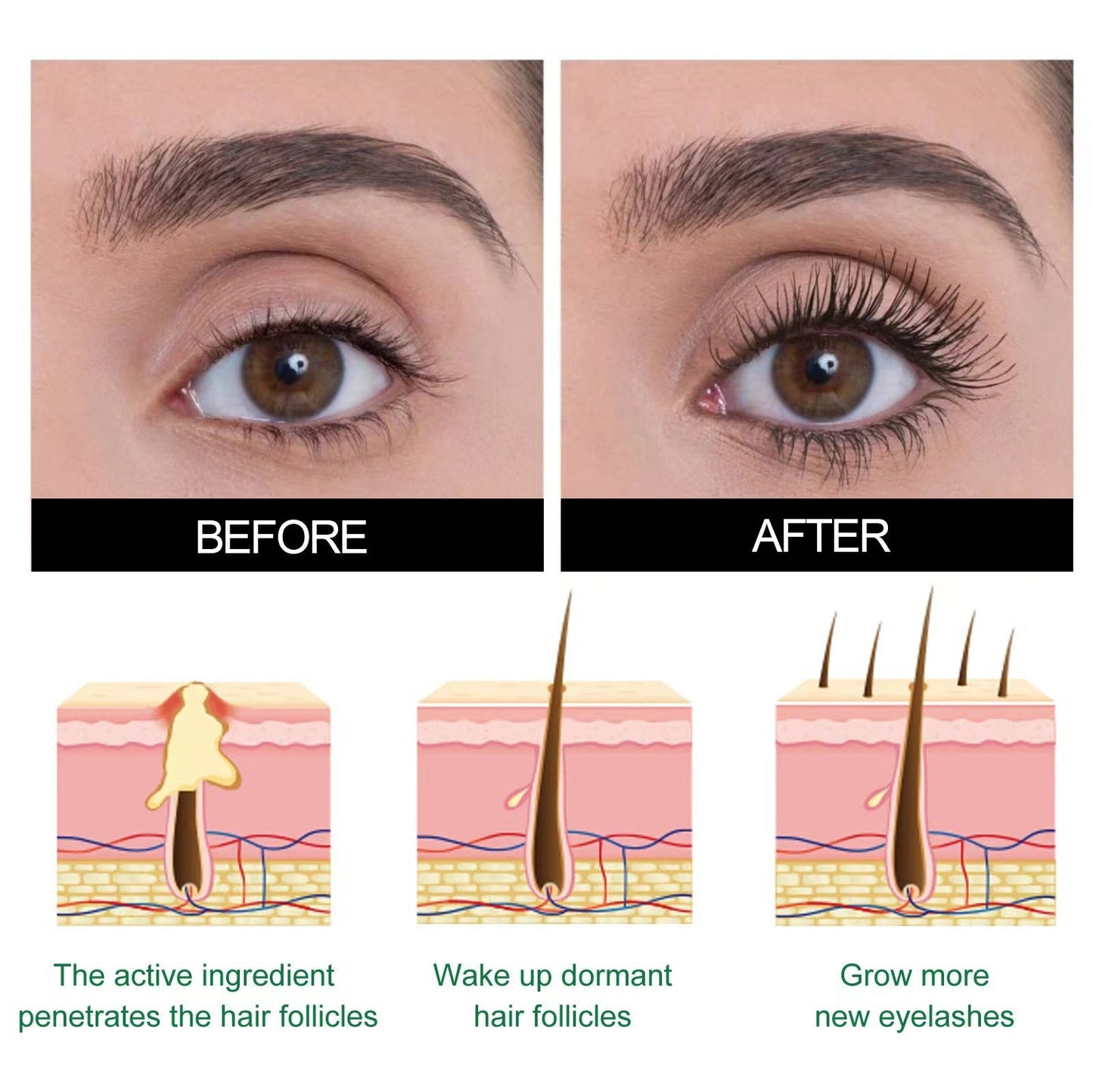 BBOJI™ Lash & Brow Intense Regeneration Serum -The 7-Day Lash Transformation